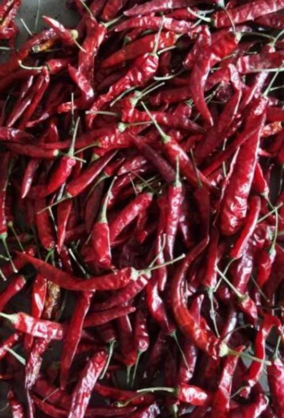 Dried Chilies